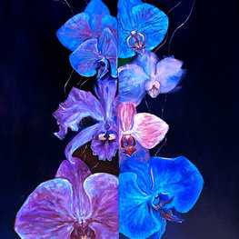 Orchidea w błękicie II