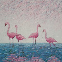 Flamingi z Faro